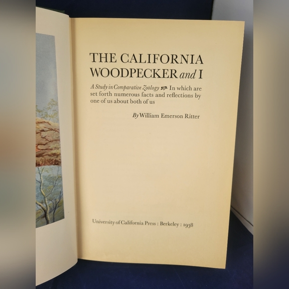 Vintage The California Woodpecker And I by William Ritter. Hardcover 1938 - Picture 8 of 11